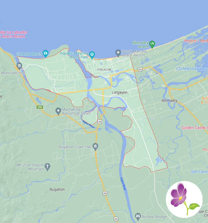 Tin's Flower Shop Flowers Delivered to Lingayen in Pangasinan FREE